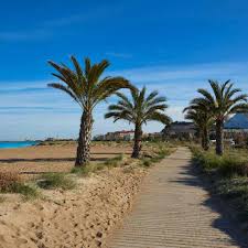 Playa de Albaranes