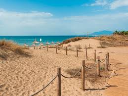 Playa de Artola (Dunas)