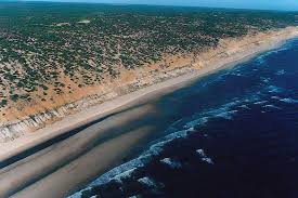 Playa de Castilla (Doñana)