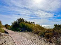 Playa de Las Azucenas