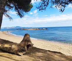 Playa de les Muscleres