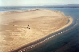 Playa del Fangar