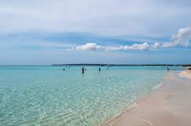 Playa de Es Arenals